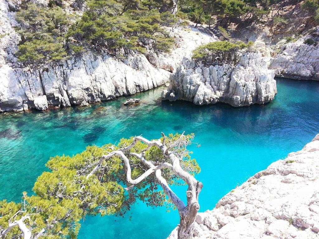 La Palmeraie マルセイユ エクステリア 写真