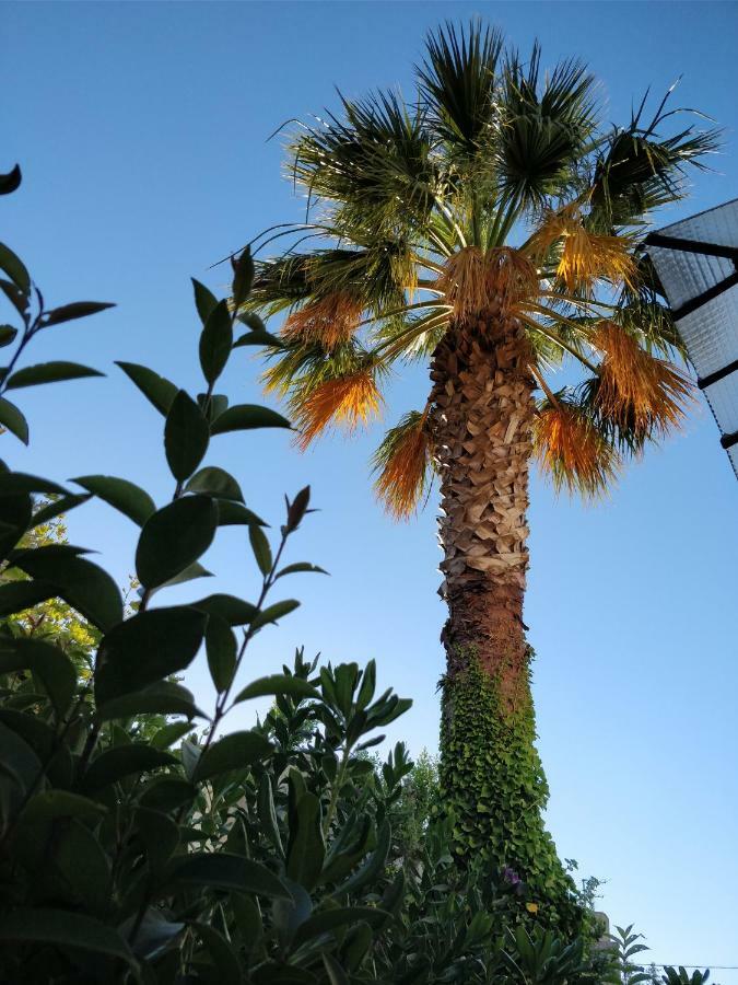 La Palmeraie マルセイユ エクステリア 写真